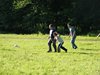 DSCF0050